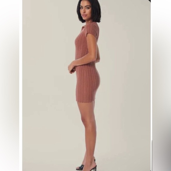 NWT Lita by Ciara Cinnamon Brown Polo Dress Size M - Picture 4 of 4